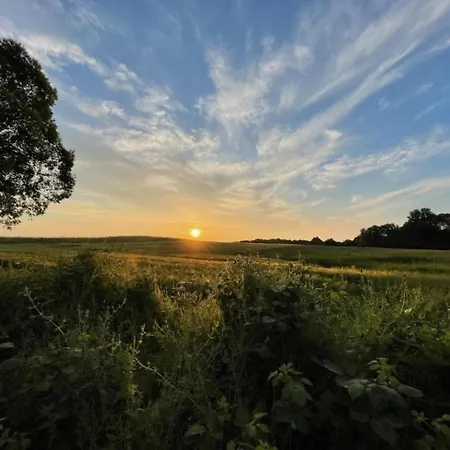 Mit Garten In Feriehus Graal-Mueritz