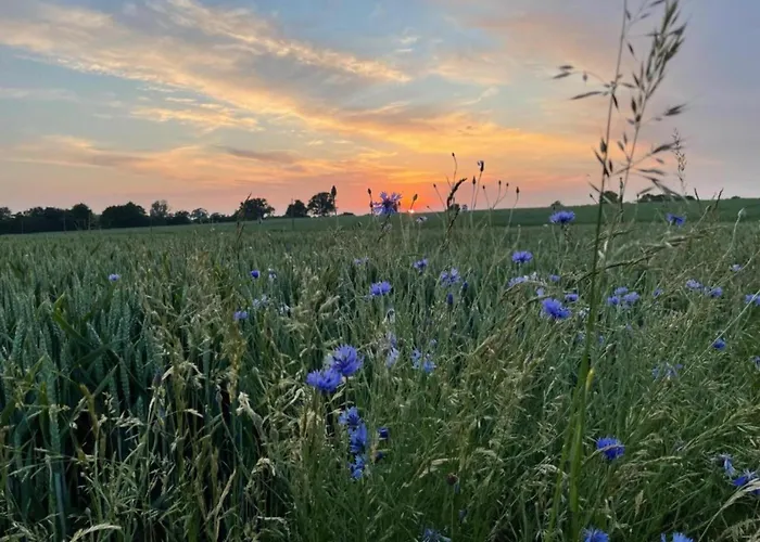 Semesterbostad Mit Garten In